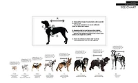 PMP sweater for dogs