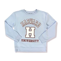Harvard Ladie's crew neck Popover sweater