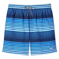 Short de volley 18 po à motif rayé Speedo pour hommes