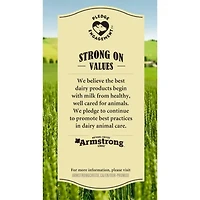 Armstrong Light Marble Cheddar Cheese, 400 g