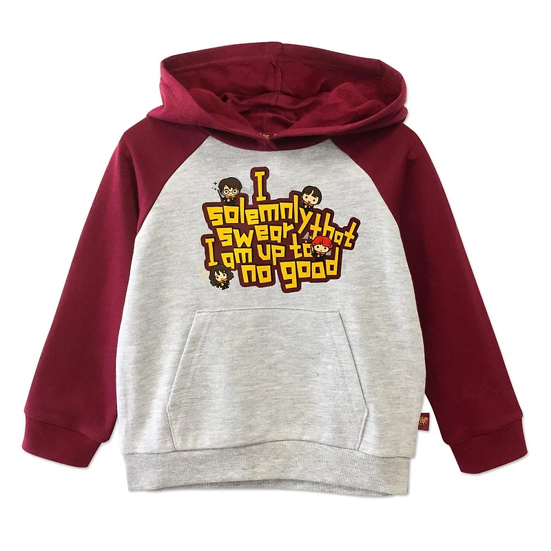 Pull à capuche Harry Potter pour tout-petit garçon