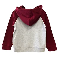 Pull à capuche Harry Potter pour tout-petit garçon