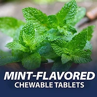 Rolaids Antitacide, saveur menthe, 96 comprimés, soulagement rapide et efficace des brûlures d'estomac 96 comprimés