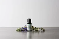 Wind Down Essential Oil Blend, Oil for Aroma Diffusing