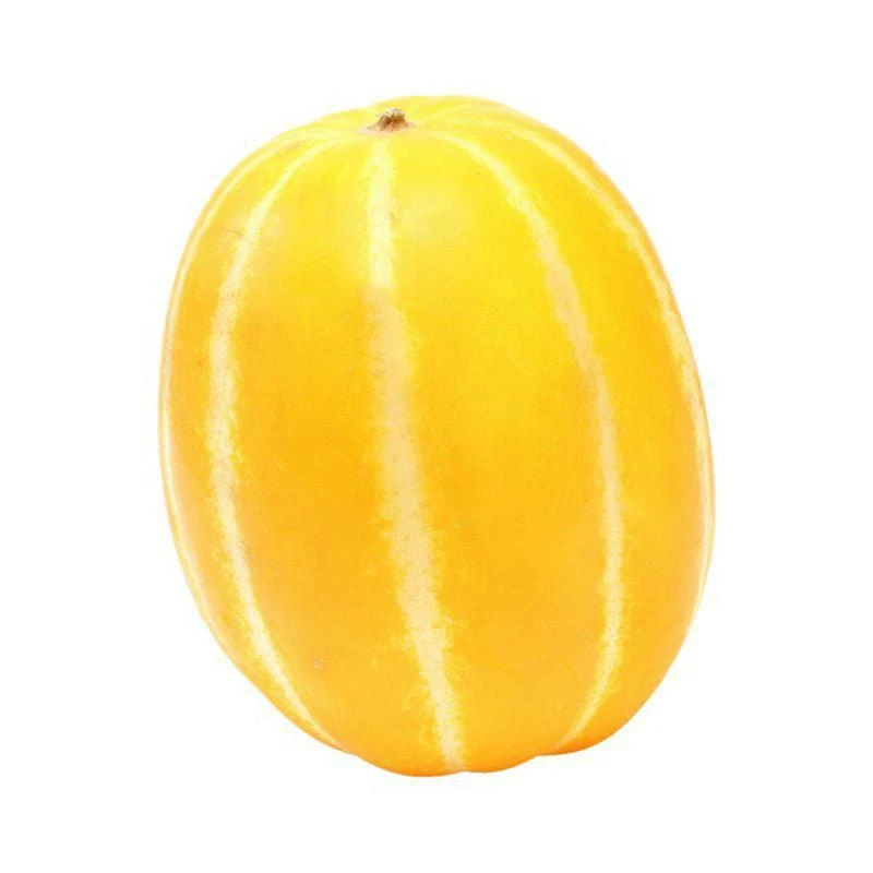Korean Melon