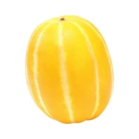 Korean Melon