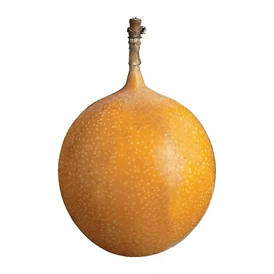 Passionfruit, Granadilla, Sold in singles