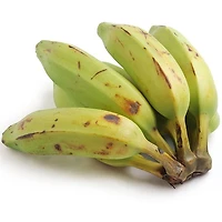 Banana Burro
