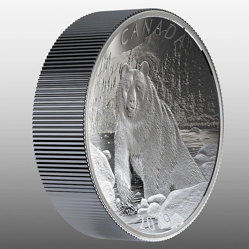 10 oz. Pièce double concave en argent fin - Ours brun: série de Nature's Grandeur