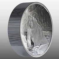 10 oz. Pièce double concave en argent fin - Ours brun: série de Nature's Grandeur