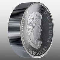 10 oz. Pièce double concave en argent fin - Ours brun: série de Nature's Grandeur
