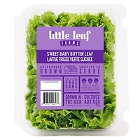 Little Leaf Farms Sweet Baby Butter Leaf, Sweet Baby Butter Leaf Lettuce 113 grams