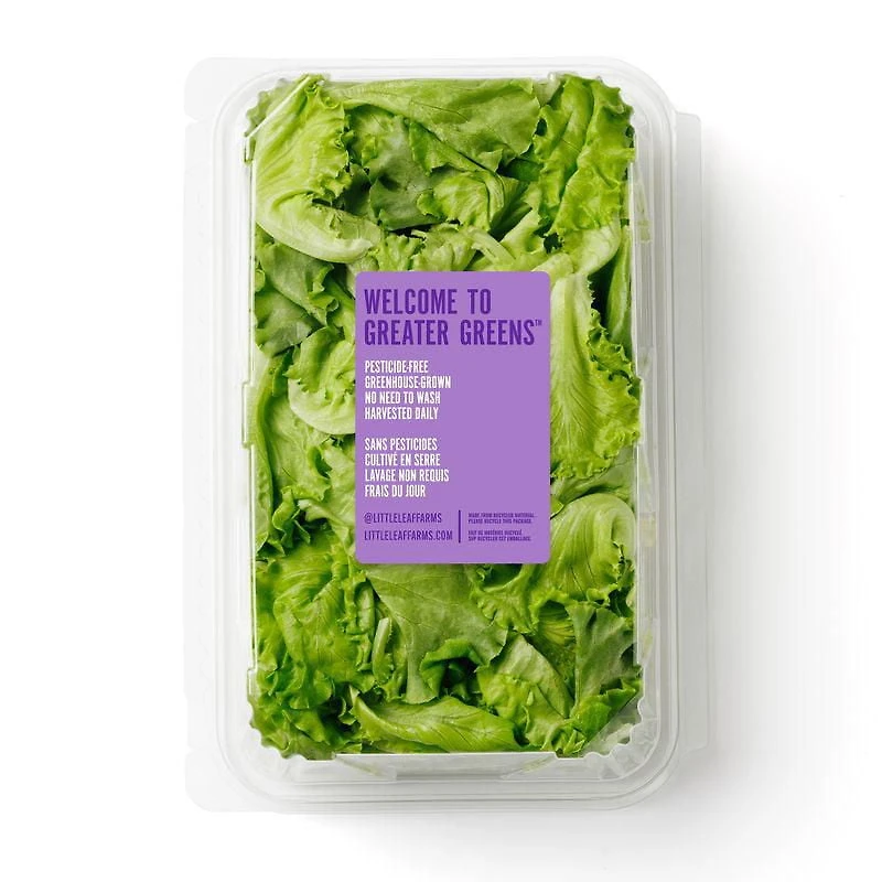 Little Leaf Farms Sweet Baby Butter Leaf, Sweet Baby Butter Leaf Lettuce 226g