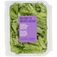 Little Leaf Farms Sweet Baby Butter Leaf, Sweet Baby Butter Leaf Lettuce 113 grams