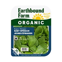 Organic Baby Spinach, 142g