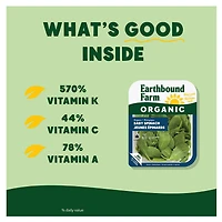 Biologique Jeunes Epinards 142g