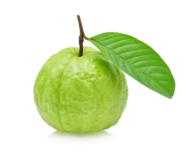 Guava, Sold in singles
