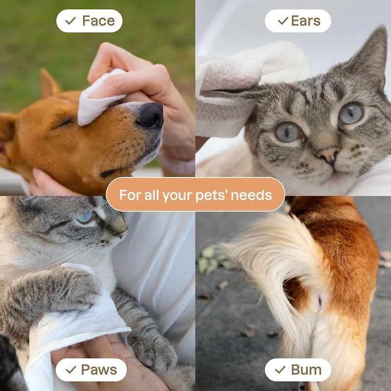 ATTITUDE Furry Friends, Lingettes, Nettoyantes et Désodorisantes, Sans Odeur, Soins pour animaux, Lingettes pour chiens, Lingettes pour chats, 72 lingettes
