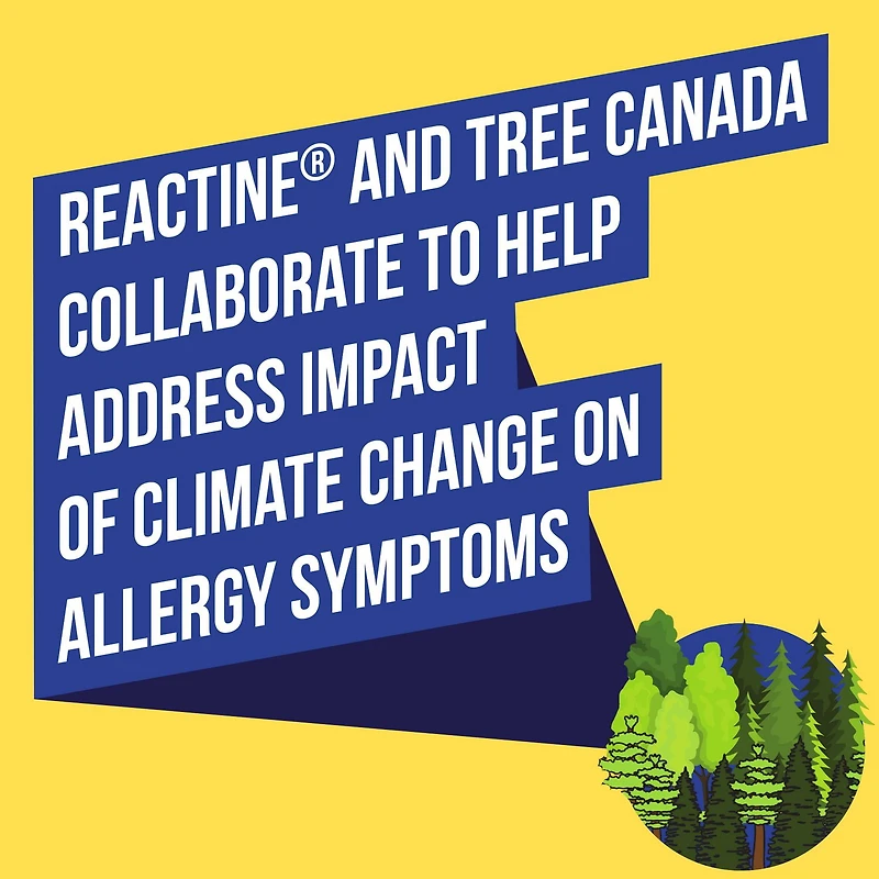 Reactine Rapid Dissolve Extra Strength Tablets - For Itchy Eyes, Hives, Runny Nose - 24 Hour Allergy Relief, 24 Count