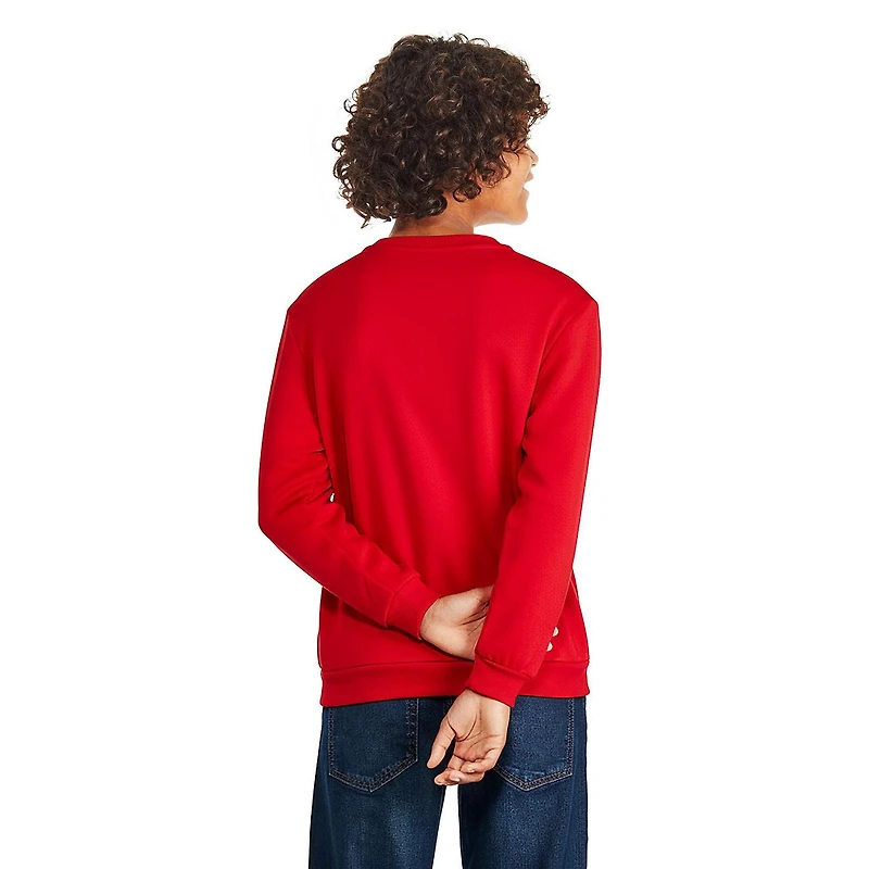 Pokemon Boys' Pikachu Light Up Holiday Sweatshirt