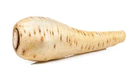 Parsnip, Sold in singles, 0.02 - 0.14 KG