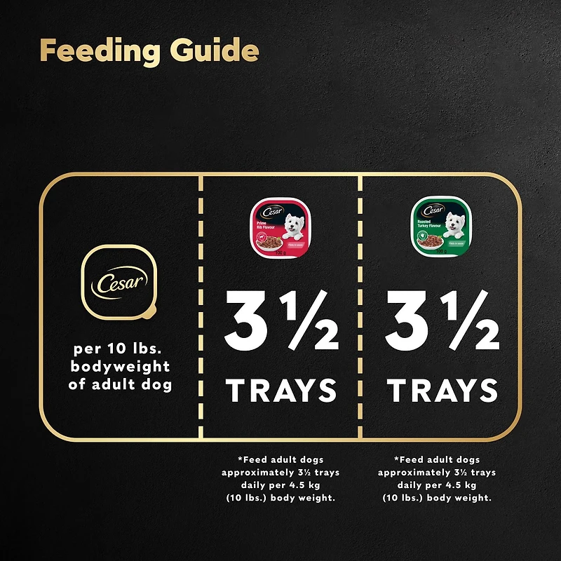 Nourriture En Tranches pour chiens adultes CESAR 6 X Saveur De Dinde RÔtie, 6 X Saveur De CÔte De BŒuf 12x100g
