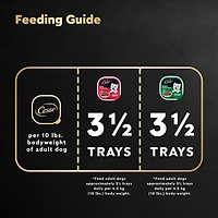 Nourriture En Tranches pour chiens adultes CESAR 6 X Saveur De Dinde RÔtie, 6 X Saveur De CÔte De BŒuf 12x100g