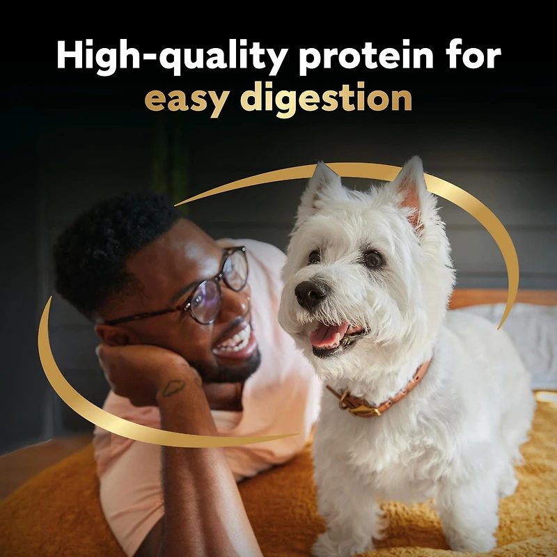 Nourriture En Tranches pour chiens adultes CESAR 6 X Saveur De Dinde RÔtie, 6 X Saveur De CÔte De BŒuf 12x100g