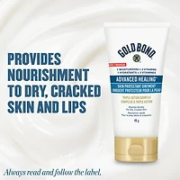 Gold Bond Advanced Healing Skin Protectant Ointment, 49g, Non-greasy, Non-Sticky, Moisturizing Ointment For Dry, Cracked Skin, Weather-Damaged skin, Absorbs Quickly, Dermatologist tested, Gold Bond Advanced Healing Skin Ointment, 49g