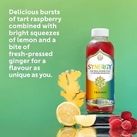 Synergy The Real Kombucha Trilogy, 480ml