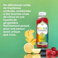 GT KOMBUCHA Synergy Trilogy 480ml - biologique et cru