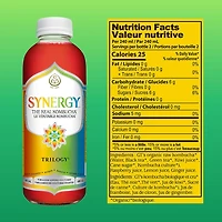Synergy The Real Kombucha Trilogy, 480ml