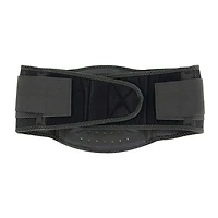 Back Support Braces (L/XL)