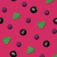 Suppléments Gélifiés OLLY Immunité Active Baie Brave 45 Suppléments Gélifiés