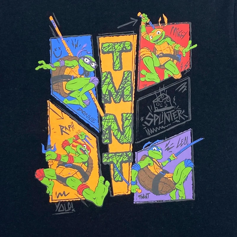 Teenage Mutant Ninja Turtles Boy's short sleeves tee shirt.
