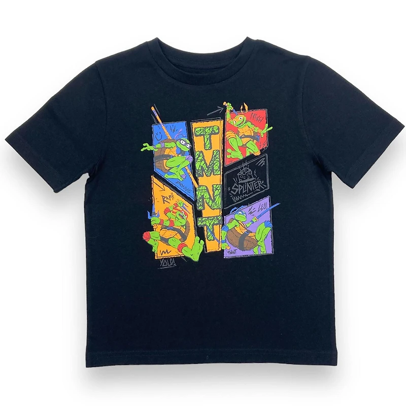 Teenage Mutant Ninja Turtles Boy's short sleeves tee shirt.