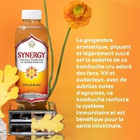Synergy The Real Kombucha Gingerade, 1.4 Litre