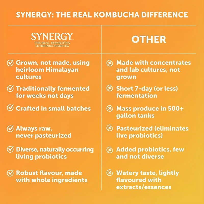 SYNERGY LE VÉRITABLE KOMBUCHA GINGERADE 1,4 Litre GTS GINGEMBRE 1,4L
