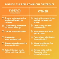 SYNERGY LE VÉRITABLE KOMBUCHA GINGERADE 1,4 Litre GTS GINGEMBRE 1,4L