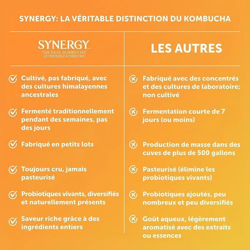 SYNERGY LE VÉRITABLE KOMBUCHA GINGERADE 1,4 Litre GTS GINGEMBRE 1,4L