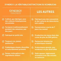 SYNERGY LE VÉRITABLE KOMBUCHA GINGERADE 1,4 Litre GTS GINGEMBRE 1,4L