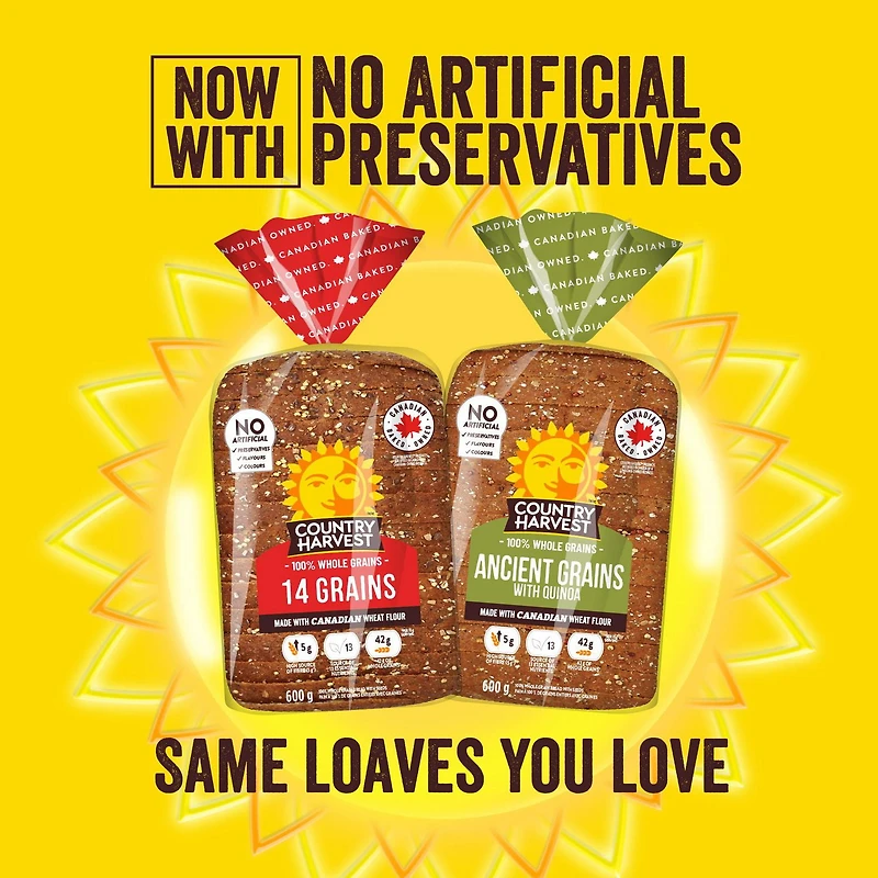 Country Harvest Everything Sliced Bread, 600 g