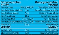 Flintstones Active Kids Calcium and Extra Vitamin D Gummies