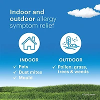 Claritin Allergies