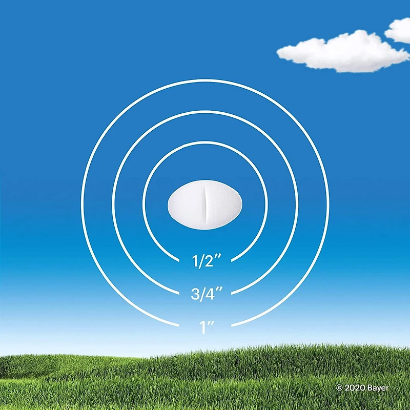 Claritin Allergies