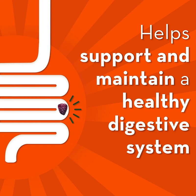 Align – Probiotique – Gélifiés – Probiotiques + prébiotiques de soutien à la régularité – – Saveur de fruits – Aide à soulager en douceur la constipation et l’irrégularité, aide à soutenir la santé gastro-intestinale