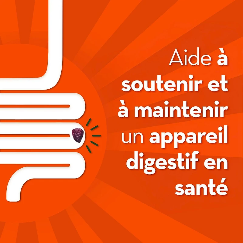 Align – Probiotique – Gélifiés – Probiotiques + prébiotiques de soutien à la régularité – – Saveur de fruits – Aide à soulager en douceur la constipation et l’irrégularité, aide à soutenir la santé gastro-intestinale