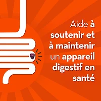 Align – Probiotique – Gélifiés – Probiotiques + prébiotiques de soutien à la régularité – – Saveur de fruits – Aide à soulager en douceur la constipation et l’irrégularité, aide à soutenir la santé gastro-intestinale