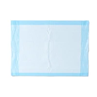 Alèses jetables Medline Protection Plus, absorption légère, 17"x24", sac de 25