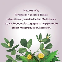 Nature's Way Fenugreek + Blessed Thistle Capsules